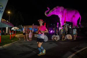 BIB: 
                            <button type="button" onclick="openModal(26552197)" class="btn btn-primary btn-sm float-right btn-popup" data-toggle="modal" data-target=".modal-high-quality">
                        <i class="fas fa-shopping-cart"></i> Add to Cart
                    </button>
                                            <button type="button" onclick="isThisMe(26552197, true)" class="btn btn-success btn-sm float-right btn-popup btn-isme hidden" data-toggle="tooltip" data-placement="bottom" title="นี่คือรูปของคุณใช่ไหม คลิกที่นี่เพื่อเอาเข้าอัลบั้ม">
                        <i class="fas fa-plus"></i> Add to album
                    </button>
                    <button type="button" onclick="isThisMe(26552197, false)" class="btn btn-warning btn-sm float-right btn-popup btn-isnotme hidden">
                        <i class="fas fa-ban"></i> Remove from album
                    </button>